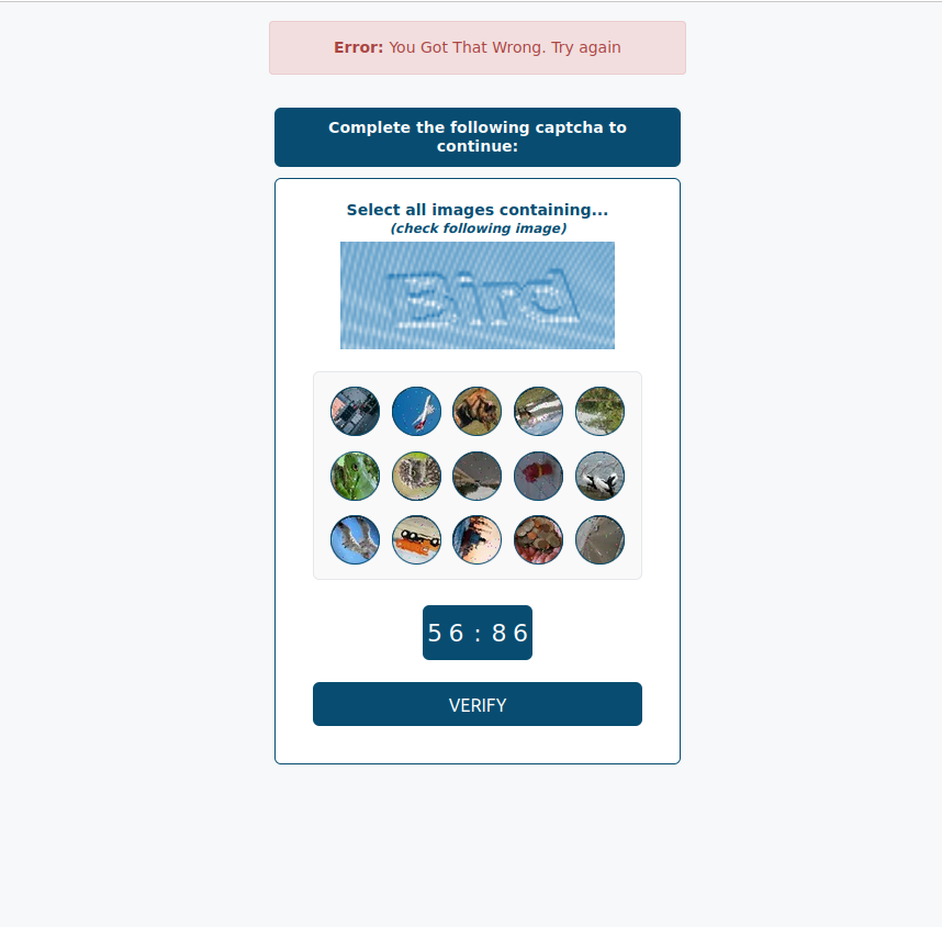 Step 1: CAPTCHA Verification